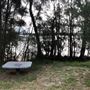 Swan Lake - Swanhaven