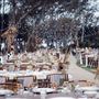 Pacific Bay Resort