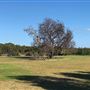 Cook at Kurnell