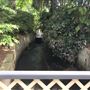 Royal Botanic Garden Sydney