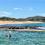 Avalon Beach