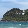 Whale Beach