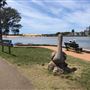 Narrabeen & North Narrabeen - Beaches & Lakes