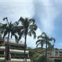 Avalon Beach 2020 - Township