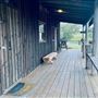 Tobruk Sheep Station - Cottages & surrounds