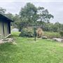 Tobruk Sheep Station - Cottages & surrounds