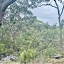 Tobruk Sheep Station - Cottages & surrounds