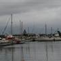 Bermagui