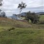 Private Property - Tumbarumba, NSW