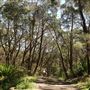 Darkes Forest Ranch