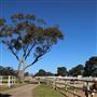 Darkes Forest Ranch
