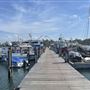 Sydney Fish Market