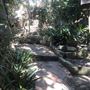 Private House - Hidden Retreat