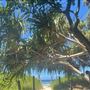 South Golden Beach