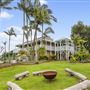 Halt Hill Macadamia Farm