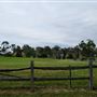Belgenny Farm