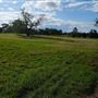 Belgenny Farm