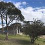 Wentworth Falls Lake