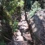 Centennial Glen Walking Track