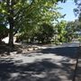 St Ives - Torokina Avenue streetscape