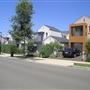 Suburban Houses - Newington