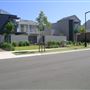 Suburban Houses - Newington