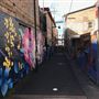 Froma Lane Street Art Gallery