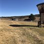 Clearview Cattle Property