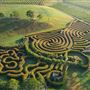 Bago Maze & Wine