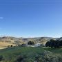 Coopers Gully Farmland