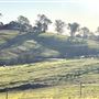 Coopers Gully Farmland