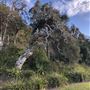 Nambucca Heads Swimming Creek