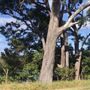 Nambucca Heads