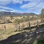 Dryridge Estate