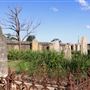 Maitland Jewish Cemetery