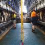 Tocal Farm