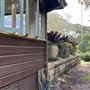 Estate at Vaucluse House