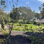 Vaucluse House