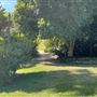 Vaucluse House