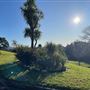 Kirkbride Callan Park