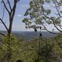 Glenworth Valley Wilderness Adventures