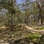 Glenworth Valley Wilderness Adventures
