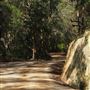 Glenworth Valley Wilderness Adventures