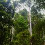 Glenworth Valley Wilderness Adventures
