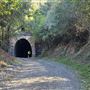 Picton Mushroom Tunnel