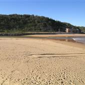 Narrabeen