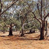 Broken Hill Stephens Creek