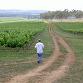 Craigmoor Winery