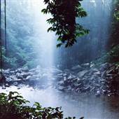 Crystal Shower Falls - Dorrigo National Park