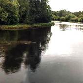 Marshall River - Wollongong
